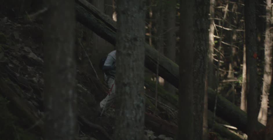 Man hiking in the woods