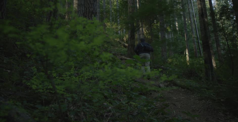 Man hikes up a forest covered hill