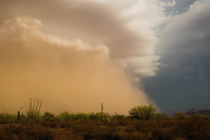 Storm clouds and a dust storm cover a field