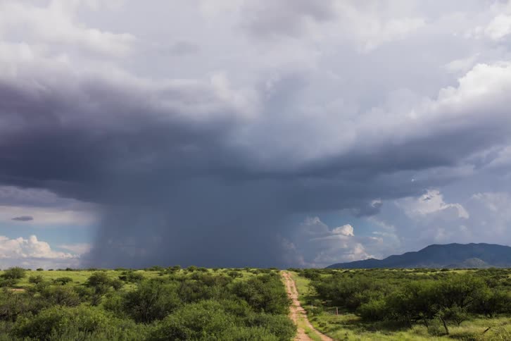 Clouds rolling over bushy plains