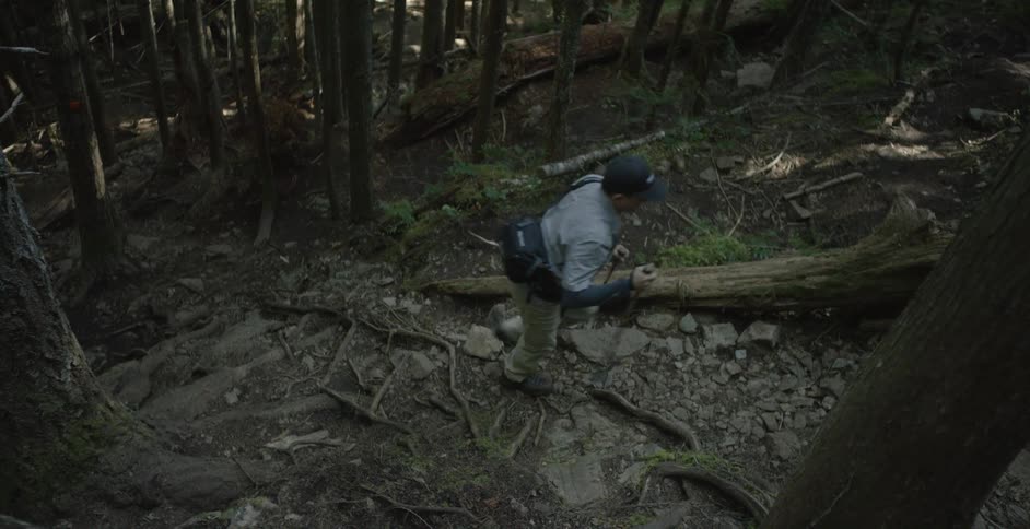 Man hiking in the woods