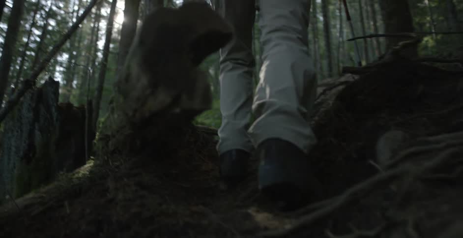 Man hiking in the woods