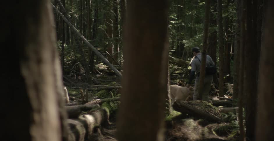A man and dog walk through dense trees