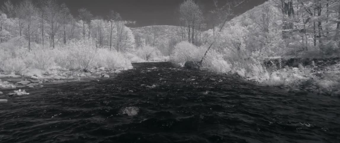 Water flowing in tree lined river