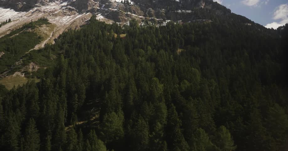 Mountain covered in trees