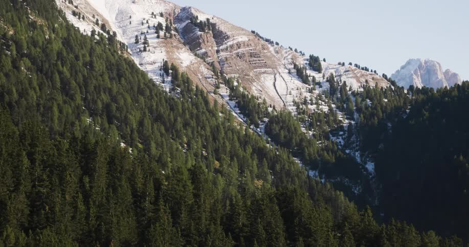 A large snow covered mountain surrounded by a forest of trees