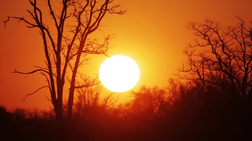 The sun rises behind leafless trees