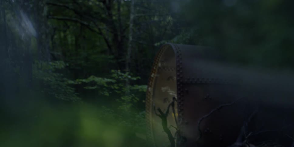 A light comes on inside a metal enclosure in a forest