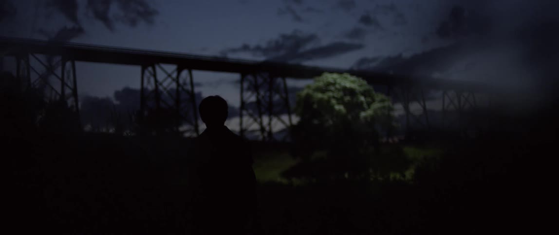 A man walks at night towards a tree
