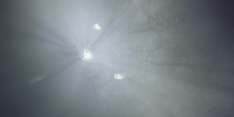 Light shining through trees on a foggy night