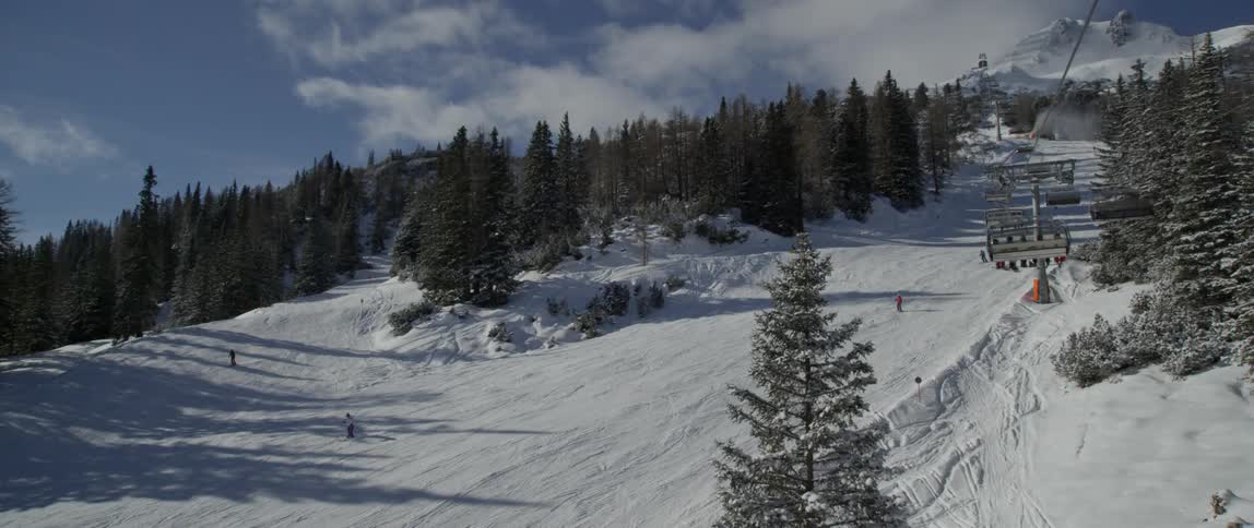 People snowboarding down a tree lined hill