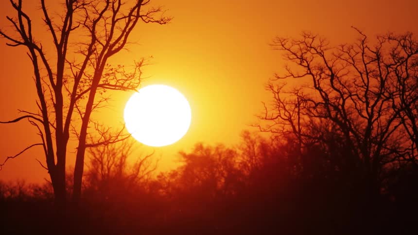 The sun rises behind leafless trees