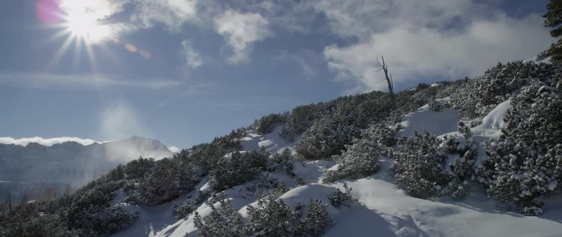 Sun shining on tree covered snowy mountains