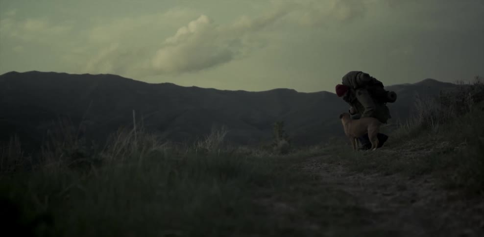 A man carries a backpack and pets his dog atop a mountain