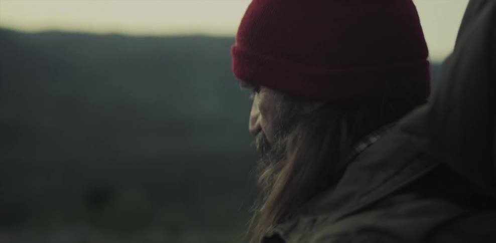A man with a long beard looks over the wilderness