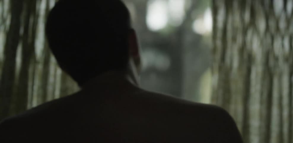 A man looking outside a window inside his house