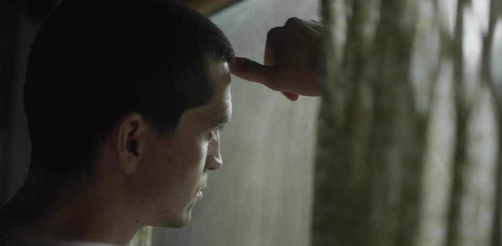 A man stares out a window