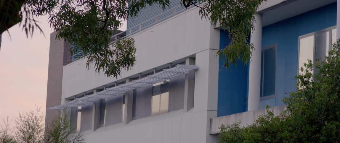 Tree branches bristle in the breeze in front of a building