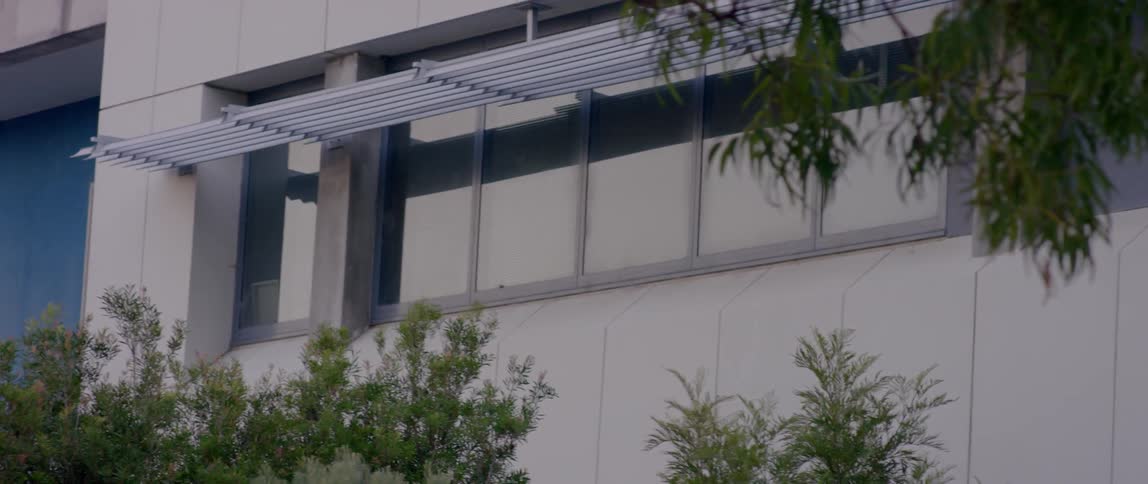 The branches blow in the wind near the building