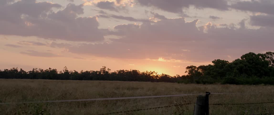 Sun rises over a grassy pasture