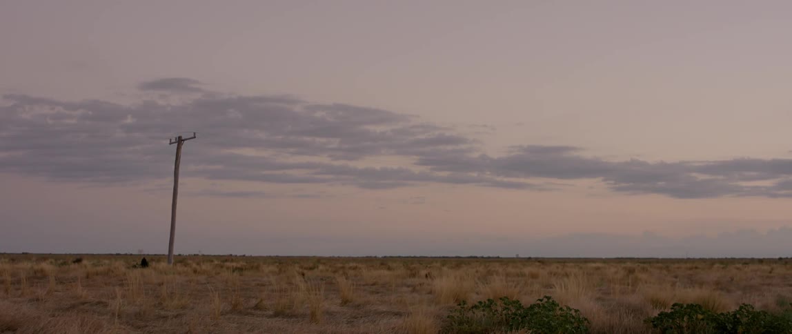 A telephone pole stands in a field at sunset