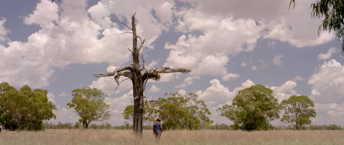An older woman walks up to a gnarled, dead tree bent in the shape of a cross