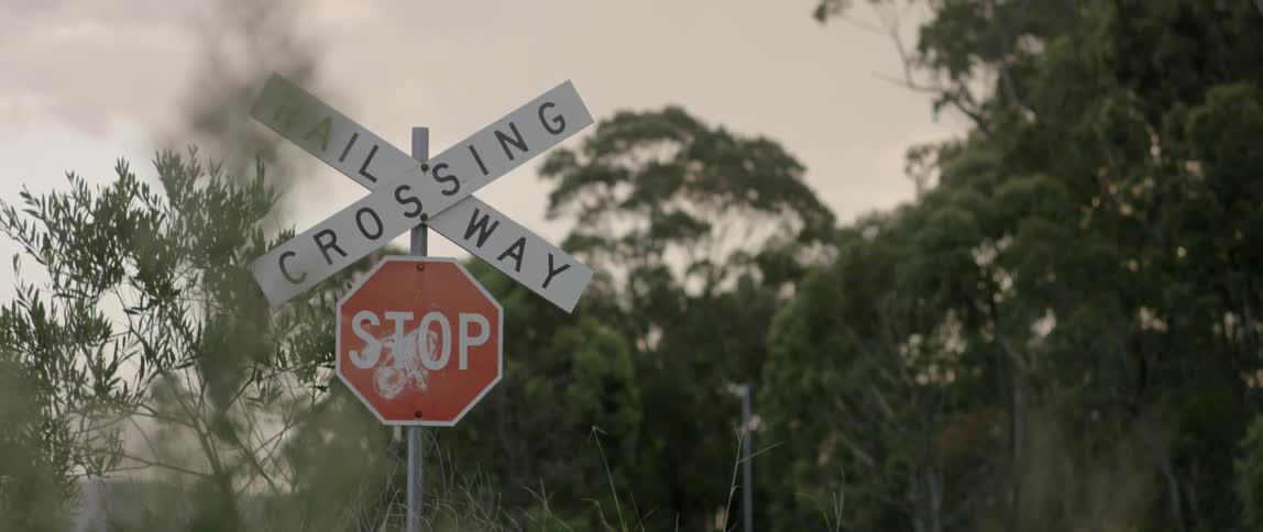 A railway crossing and stop sign in a rural area