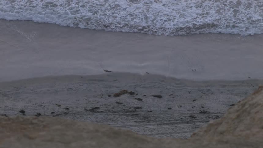 Waves crashing against the beach