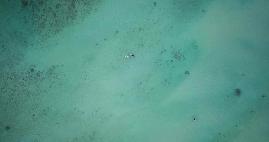 Two people swimming in a large ocean