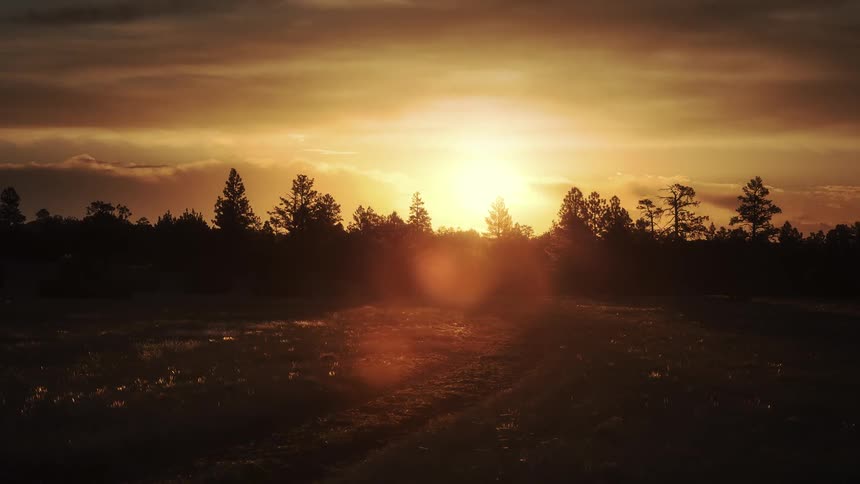 The sun rises slowly over the forest