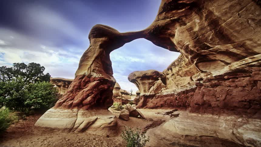 The canyon has small trees on the side blowing in the wind