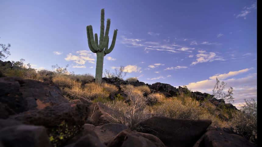 Clouds pass over a desert scene and cactus