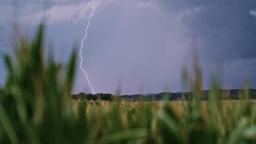The tall grass has heavy clouds with lightning strikes above