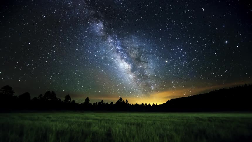 The sky is full of stars over the forest ahead