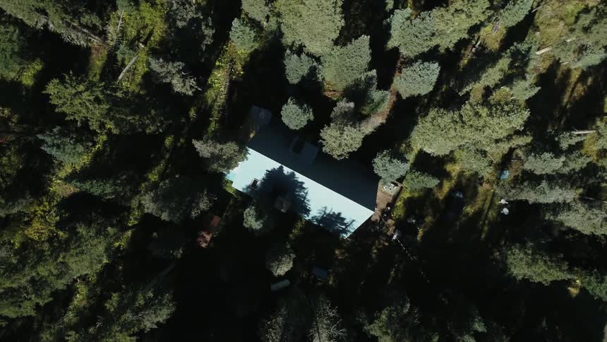 A small house with a blue roof sits in the middle of a forest