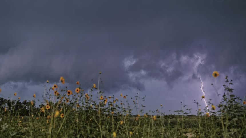 Lightning strikes in a large field