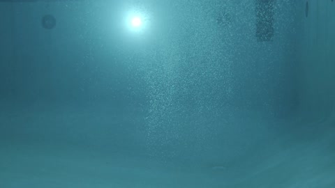 The water is blue with bubbles rising to the top