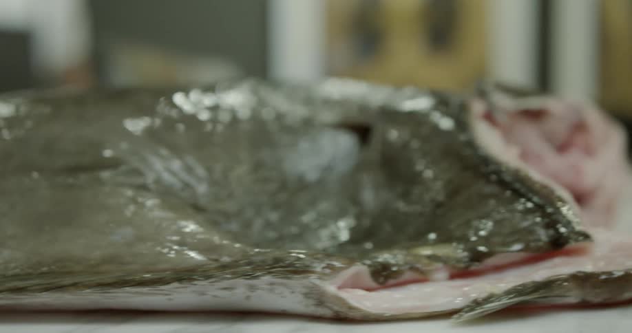 The kitchen has a large fish on the table
