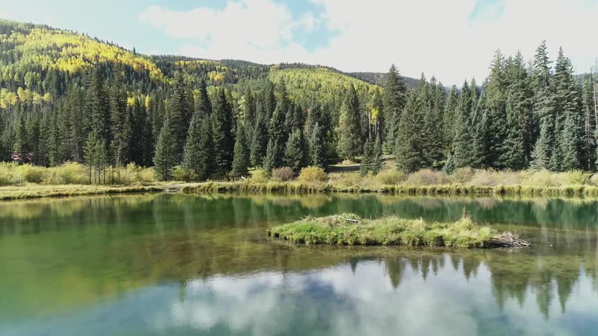 The lake is lined by a forest and mountains ahead