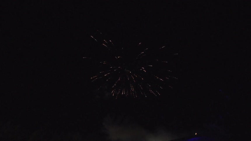 Fireworks exploding in the night sky