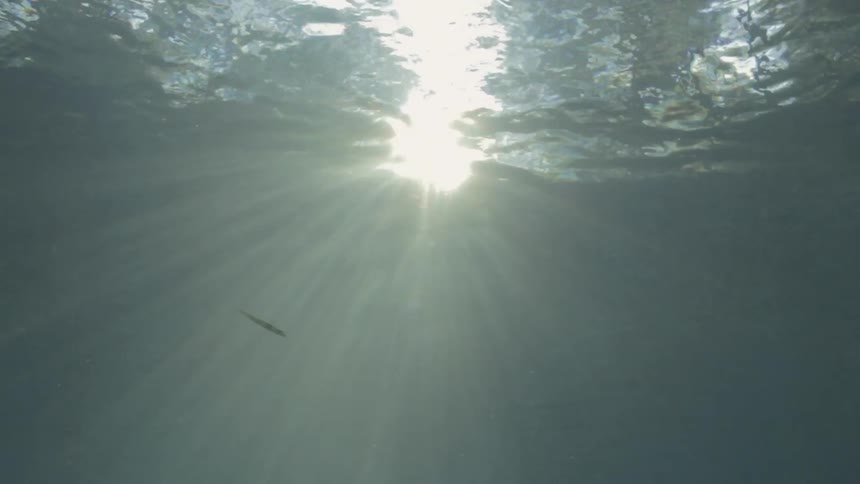 Sun reflections underwater