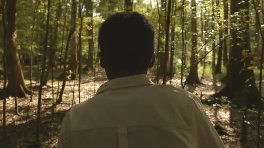 Boy wearing a collared shirt and carrying a stick on his shoulder walking through the woods
