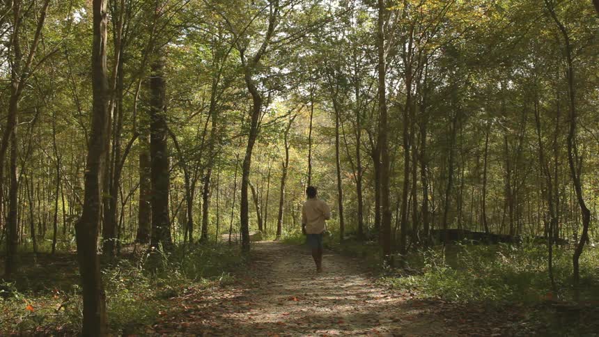 Black child holding a stick walks on a road as the autumn leaves fall down to the ground in the forest