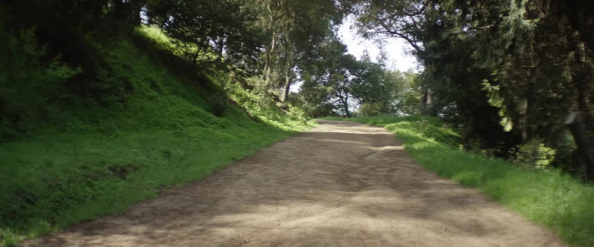A dirt trail