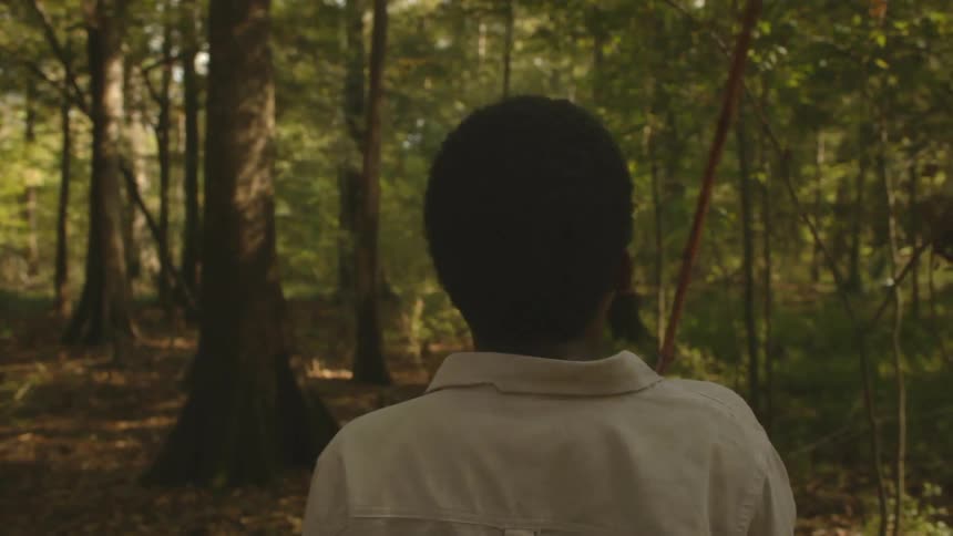 A child walking in the forest