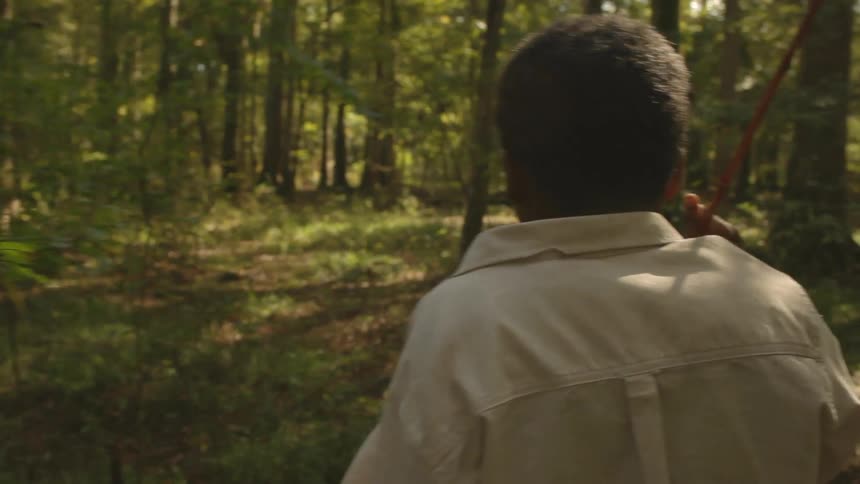 Man walking through a forest on a sunny day