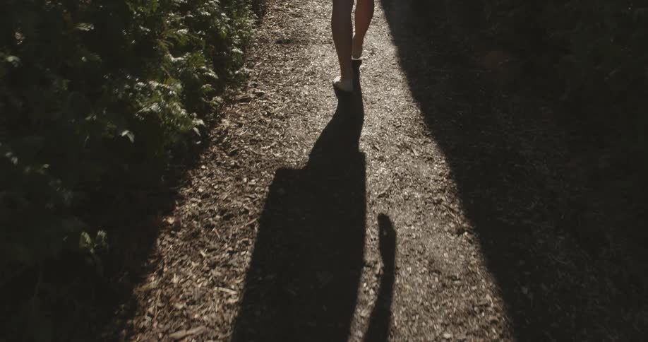 Person walks on a dirt path with bushes on the side