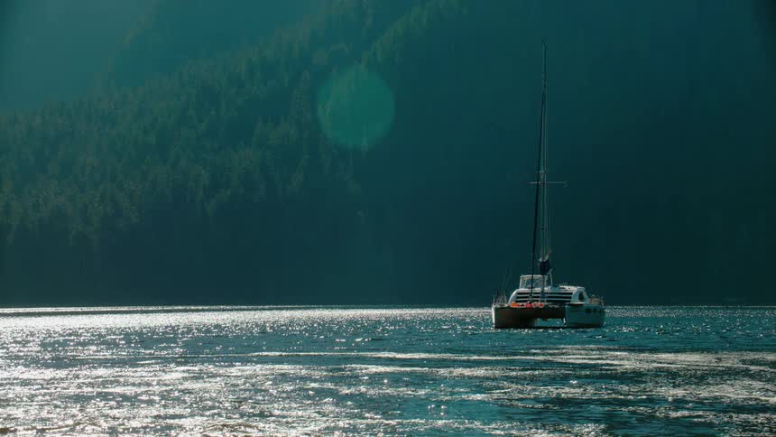 A sailboat sits off a forested coastline during the day