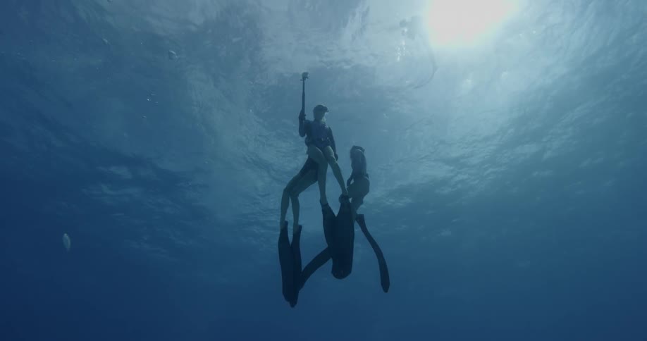 Sharks swim around and below three free divers