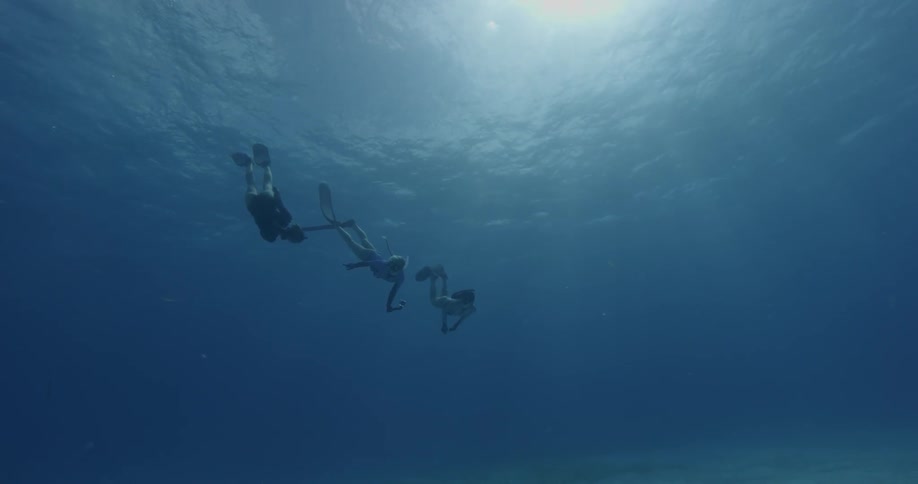 Three divers swim downwards on a sunny day